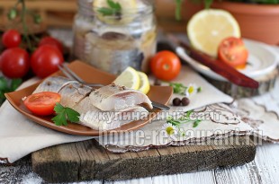 Выкройки сумок для велосипедов Выкройки сумок для велосипедов