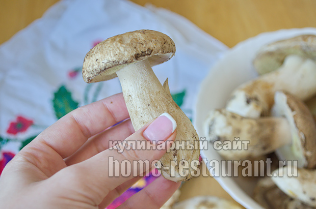 Маринованные белые грибы на зиму рецепт с фото_01